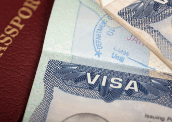 Visa-Free Travel in 2025: Where You Can Travel Without Hesitation